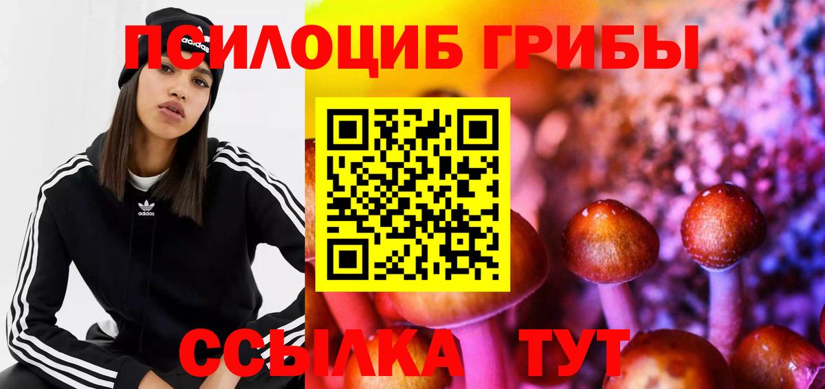 Стрежевой  Псилоцибиновые грибы ЛСД  Вход с VPN  Галлюциногенные грибы Cubensis 